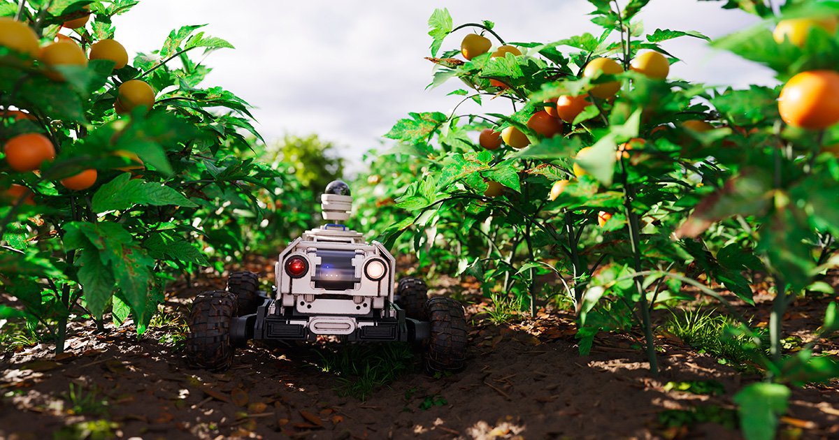Вести с полей: как ИИ ищет за аграриев сорняки, а дроны скидывают клещей